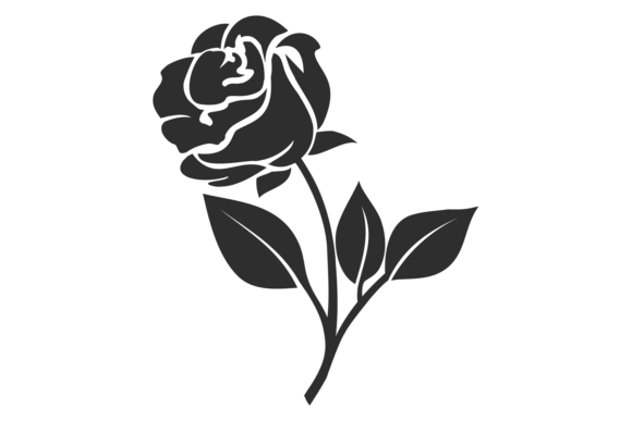 Rose Silhouette. Floral Black Element. F Review
